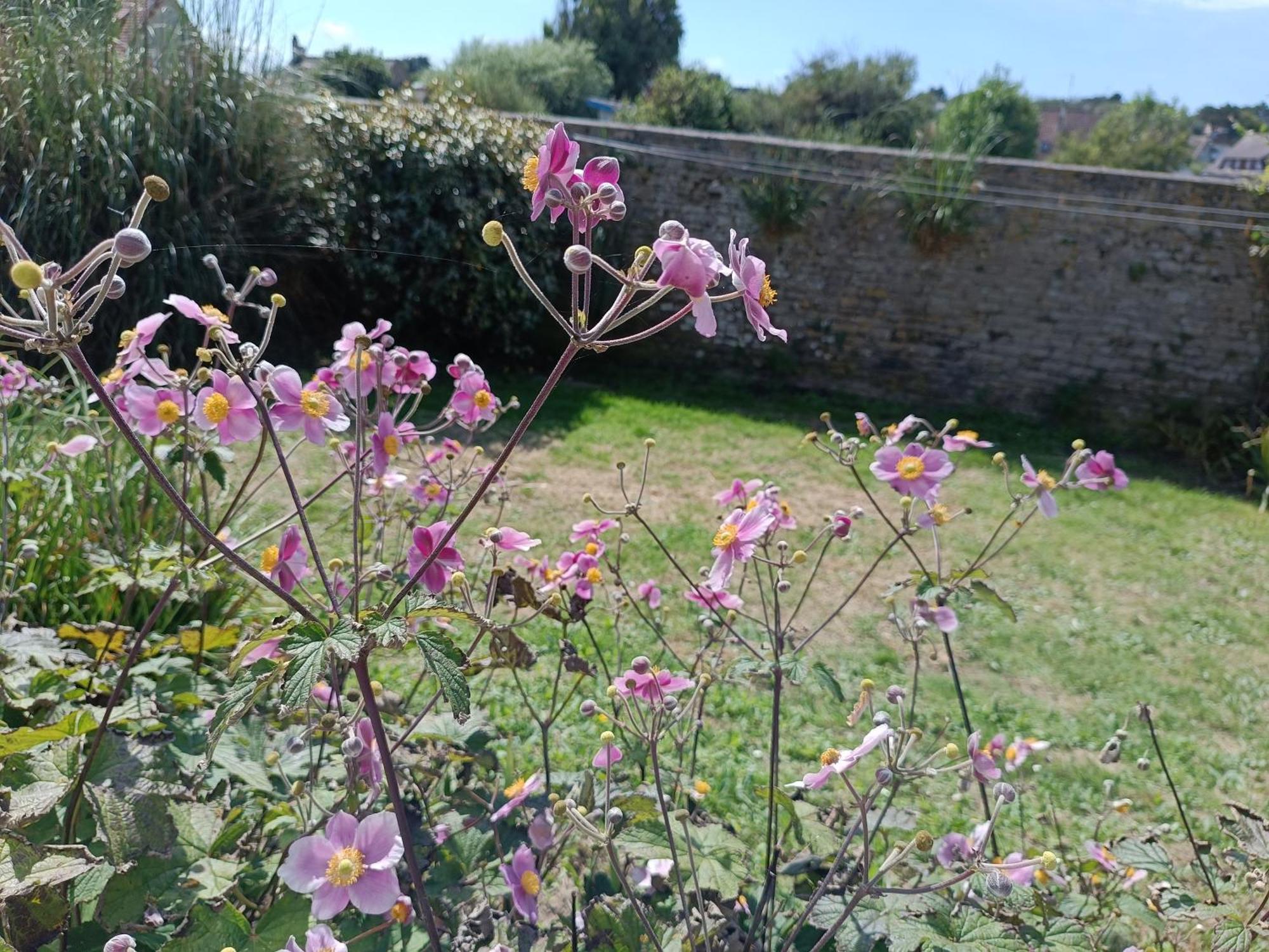 Villa Belle Vie A 30 Metres De La Plage Ver-sur-Mer Esterno foto